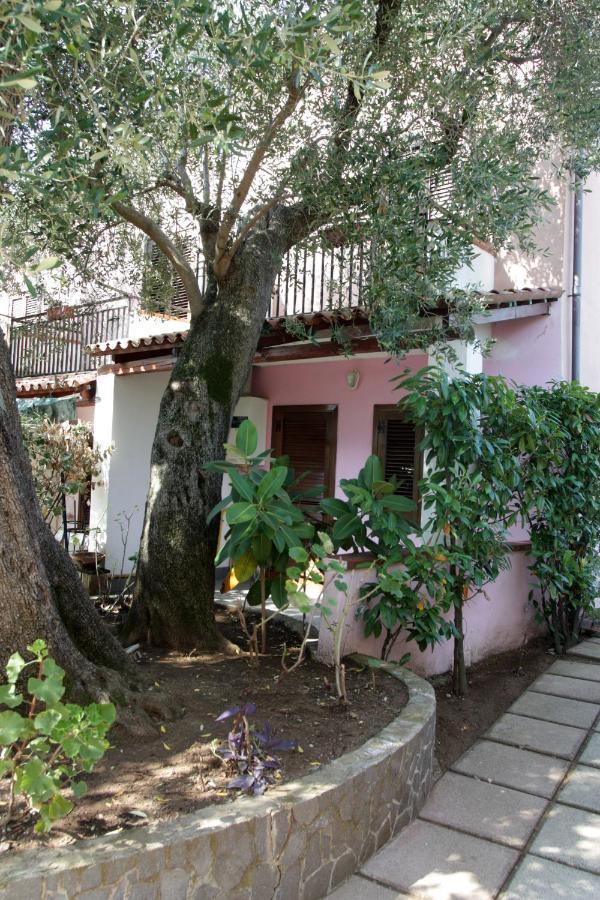 Hotel Santaclara Camerota Dış mekan fotoğraf